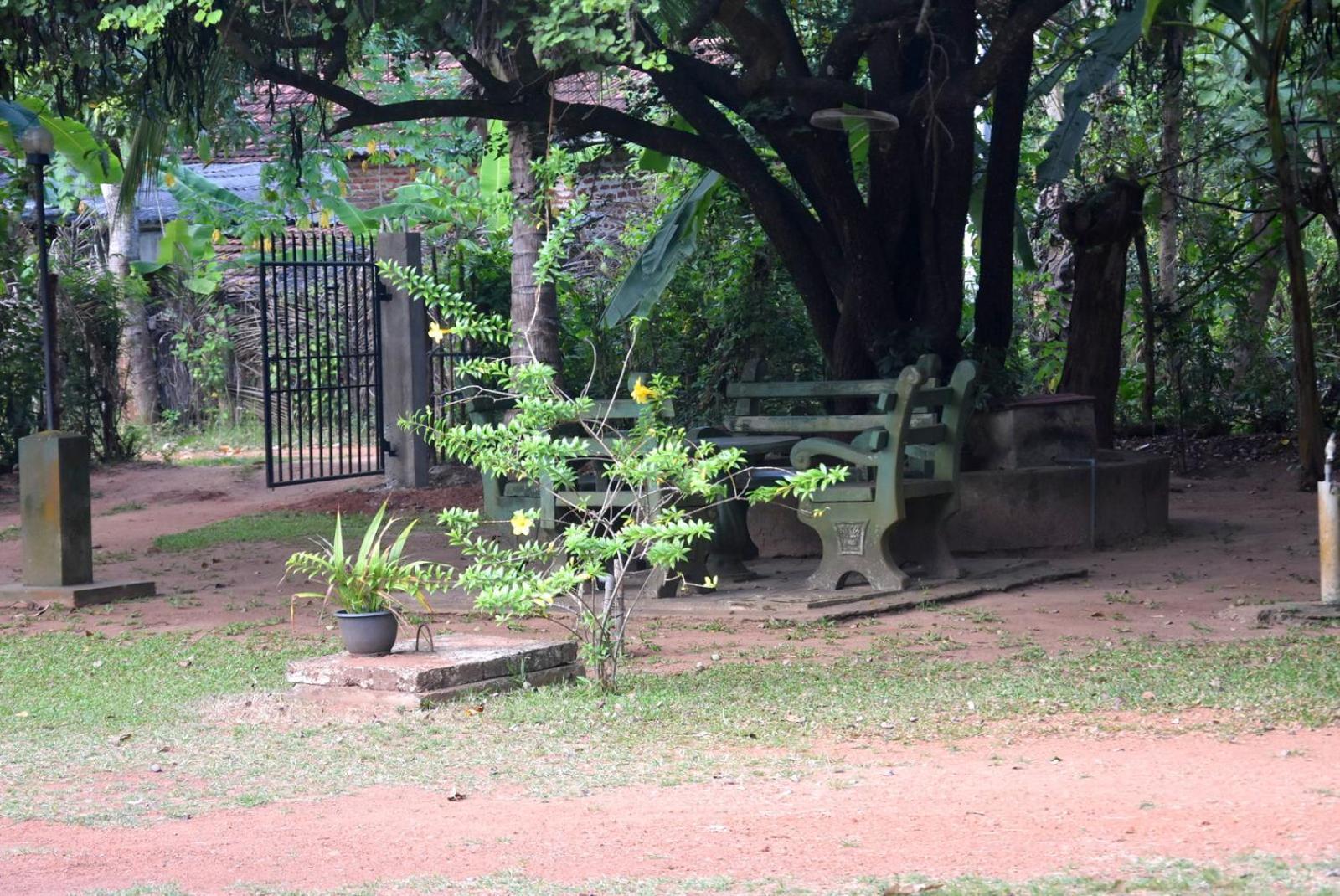 Dinu Villa Anuradhapura Exterior photo